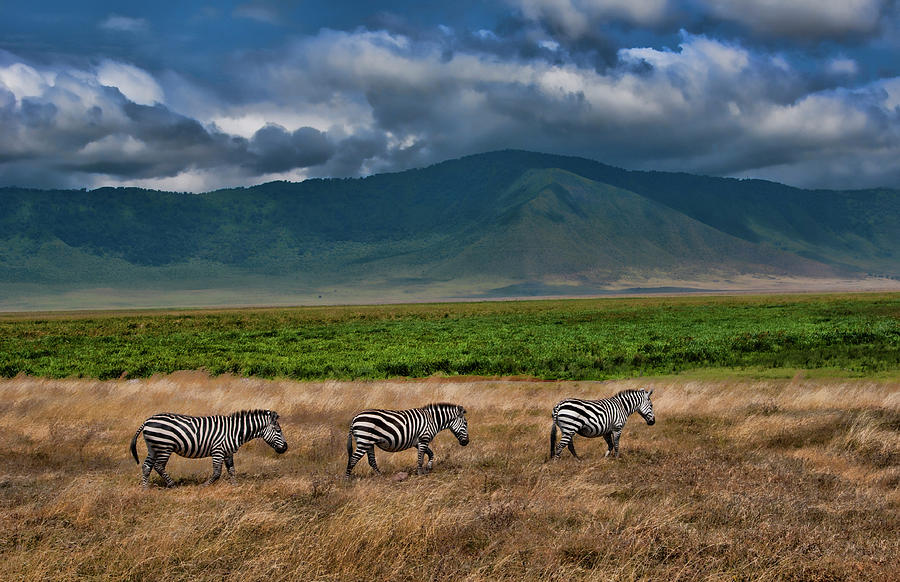 Experience a Guided Morning Walk Along the Ngorongoro Crater Rim